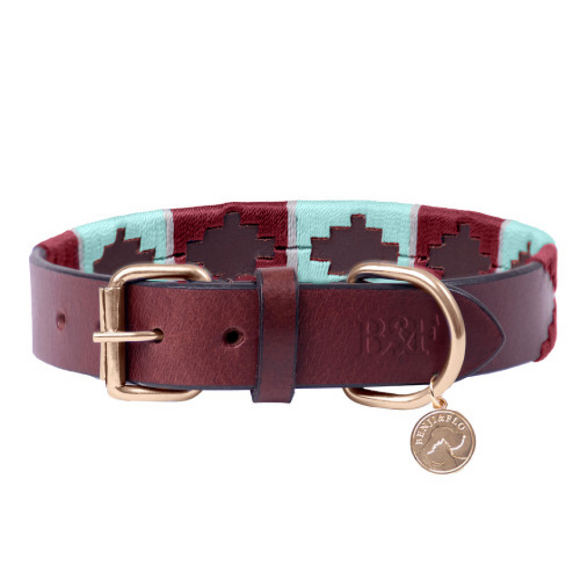 Benji & Flo Sublime Polo Leather Dog Collar #colour_aqua-fig