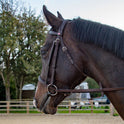 Whitaker Ready To Ride Snaffle Bridle #colour_havana