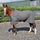 Whitaker Clough Knitted Cooler Rug #colour_grey