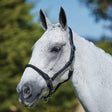 Kincade Leather Rope Head Collar #colour_black
