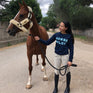 Horse Pilot Summer Sweat Women
