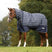 #colour_navy-plaid